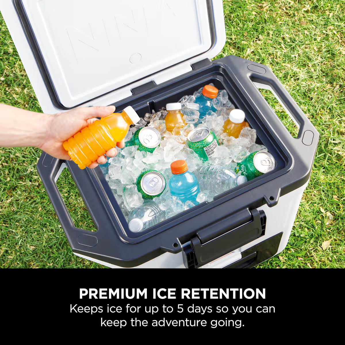 Ninja FrostVault 30QT/28L Hard Cooler - Cloud White FB131UKWH