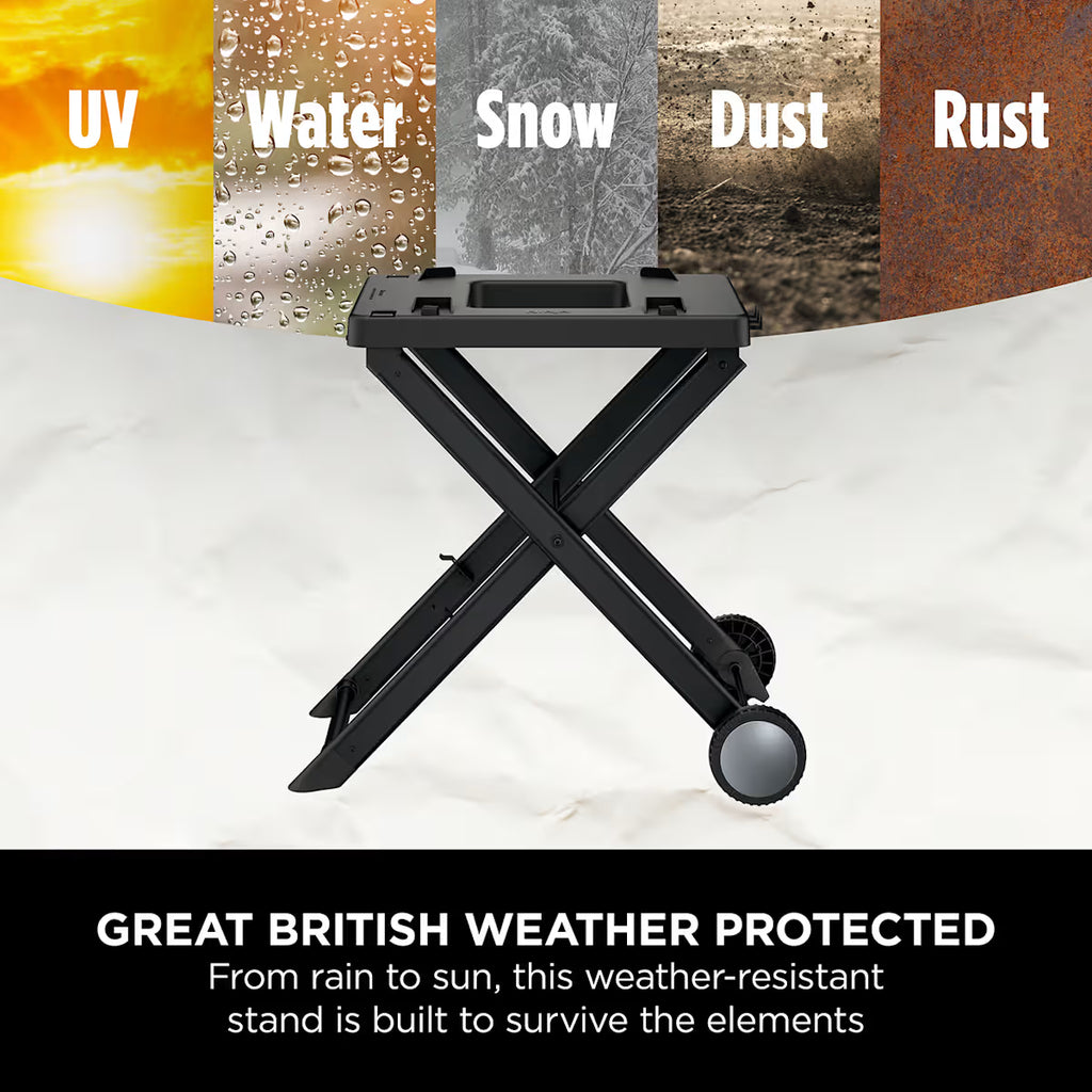 Ninja Woodfire Electric BBQ Grill & Smoker with Stand & Accessories
